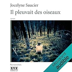 Page de couverture de Il pleuvait des oiseaux