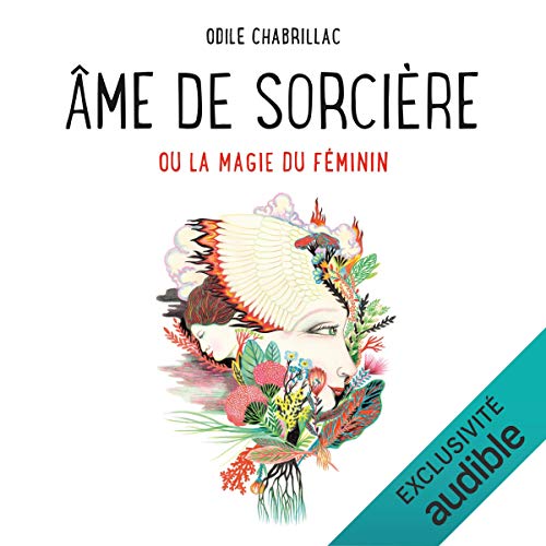 Page de couverture de Âme de sorcière