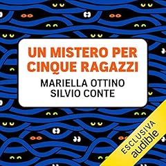 Un mistero per cinque ragazzi copertina