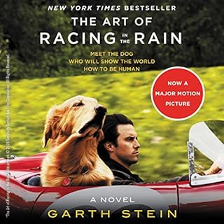 The Art of Racing in the Rain Audiobook By Garth Stein cover art