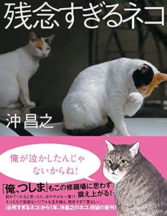 残念すぎるネコ