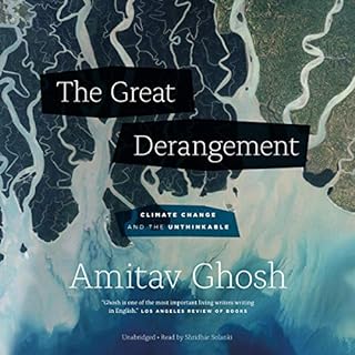 Page de couverture de The Great Derangement