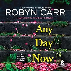 Page de couverture de Any Day Now