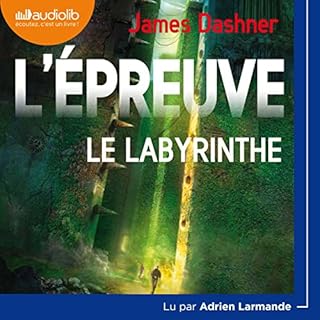 Page de couverture de Le Labyrinthe