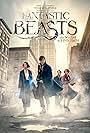 Fantastic Beasts and Where to Find Them 360: MACUSA (2017)