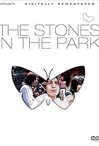 The Stones in the Park