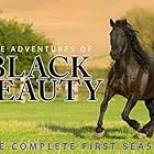 The Adventures of Black Beauty (1972)