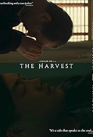 Perry Yung and Doua Moua in The Harvest (2023)