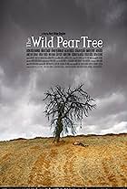Making of the Wild Pear Tree