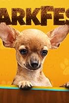 BarkFest (2017)