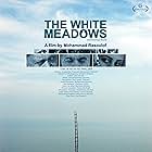 the white meadows  (keshtzarhay-e sepid)