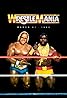 WrestleMania I (1985) Poster