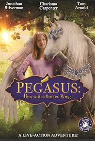 Primary photo for Pegasus: Pony with a Broken Wing