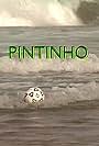 Pintinho (1994)