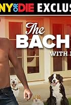 The Bachelor with Dogs and Scott Eastwood