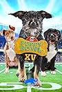 Puppy Bowl XV (2019)