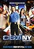 CSI: NY (TV Series 2004–2013) Poster