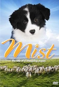 Primary photo for Mist: The Tale of a Sheepdog Puppy