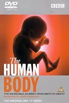 The Human Body