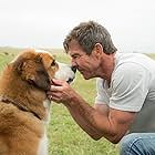 Dennis Quaid in A Dog's Purpose (2017)