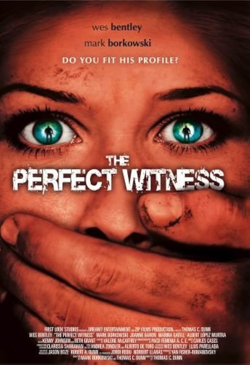 The Perfect Witness (2007)