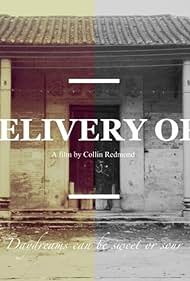 The Delivery Order (2014)