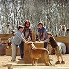 Steve Carell, Jimmy Bennett, Graham Phillips, and Johnny Simmons in Evan Almighty (2007)