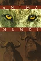 Anima Mundi (1991)