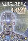 CoSM the Movie: Alex Grey & the Chapel of Sacred Mirrors (2006)