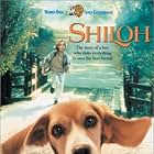 Shiloh (1996)