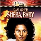 'Sheba, Baby' (1975)