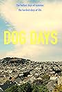 Dog Days (2015)