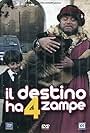 Il destino ha 4 zampe (2002)