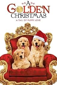 A Golden Christmas (2009)