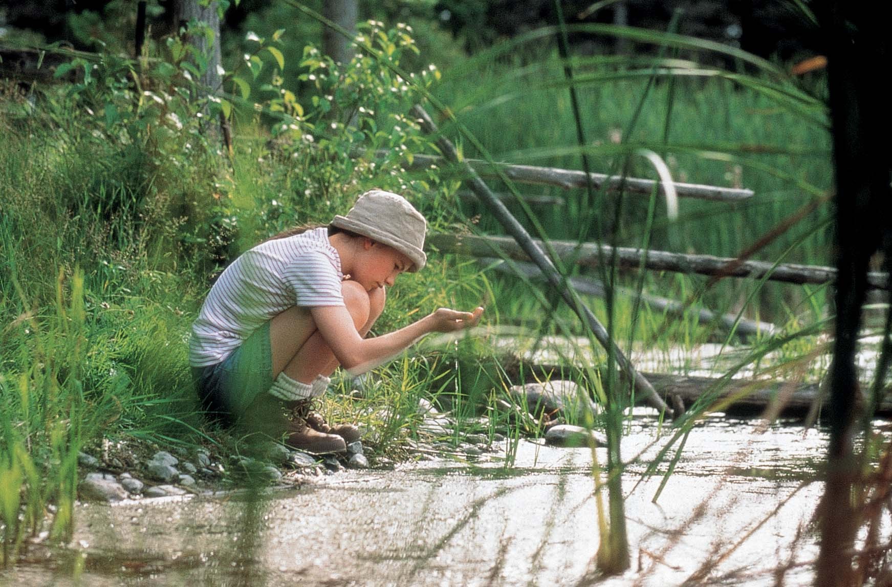 Anna Paquin in Fly Away Home (1996)