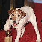 Uggie