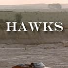 Hawks (1988)