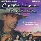 Cadillac Ranch (1996)