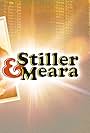 Stiller & Meara (2010)