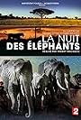 La nuit des éléphants (2014)