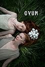 Ovum (2015)