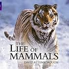 The Life of Mammals (2002)