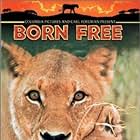 Elsa in Born Free (1966)