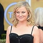 Amy Poehler