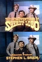 Claude Akins, Brian Kerwin, and Mills Watson in The Misadventures of Sheriff Lobo (1979)