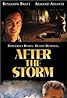 After the Storm (TV Movie 2001) Poster