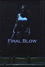 Final Blow (2017)