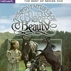 The Adventures of Black Beauty (1972)