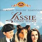 Elizabeth Taylor, Roddy McDowall, and Pal in Lassie Come Home (1943)