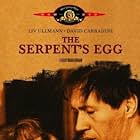 The Serpent's Egg (1977)